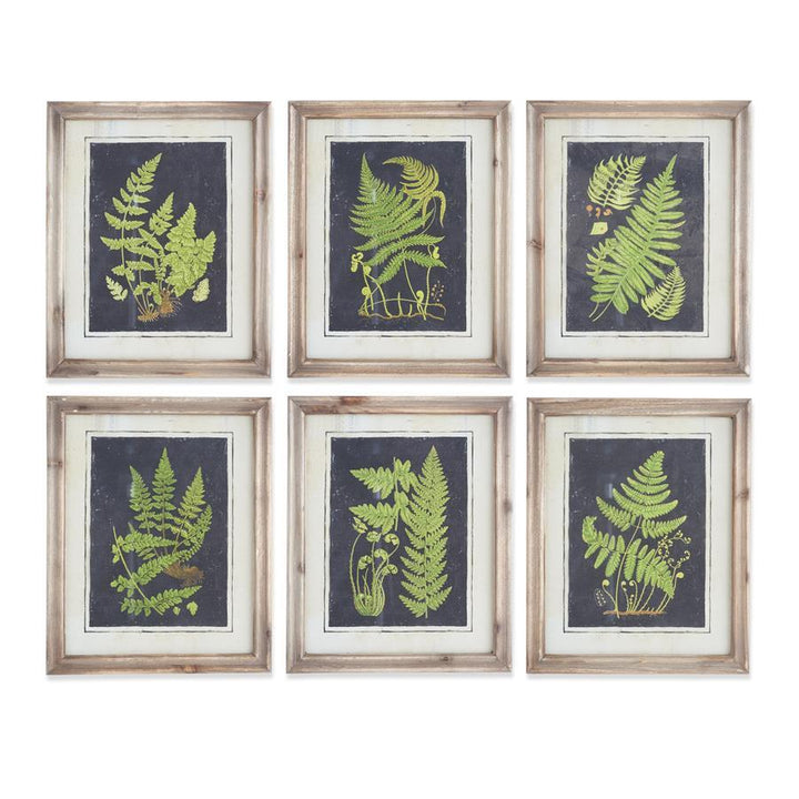 17" Framed Fern Print - Madison's Niche 