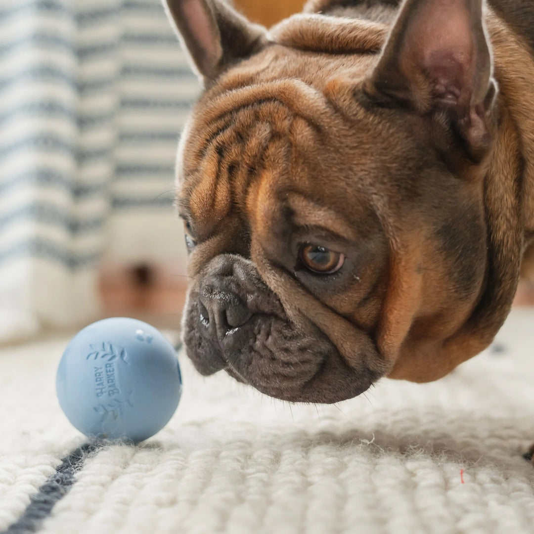 4 Rubber Ball Set - Large