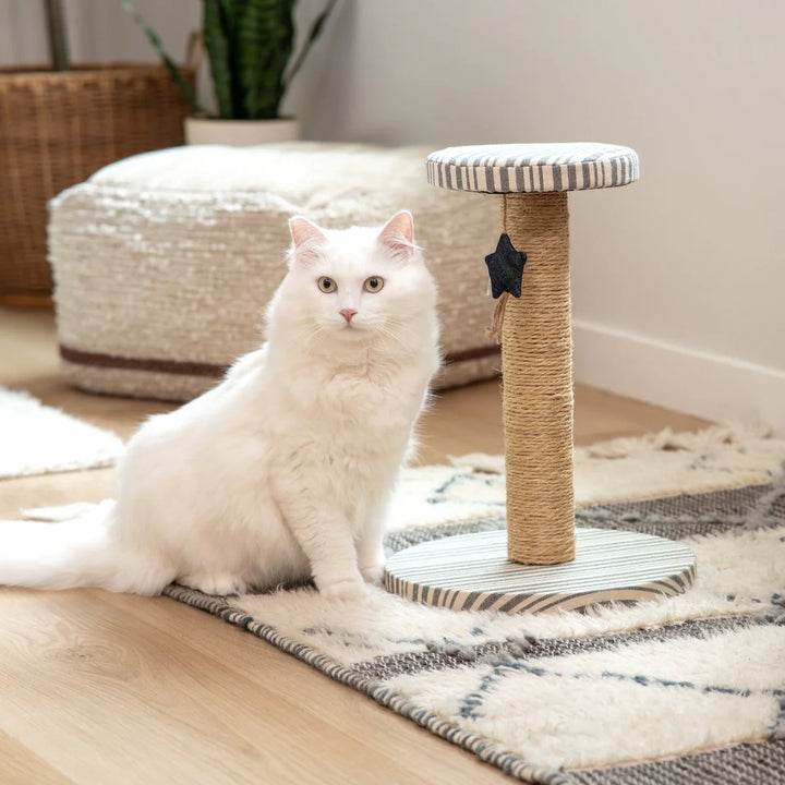 Stripe Cat Scratching Post