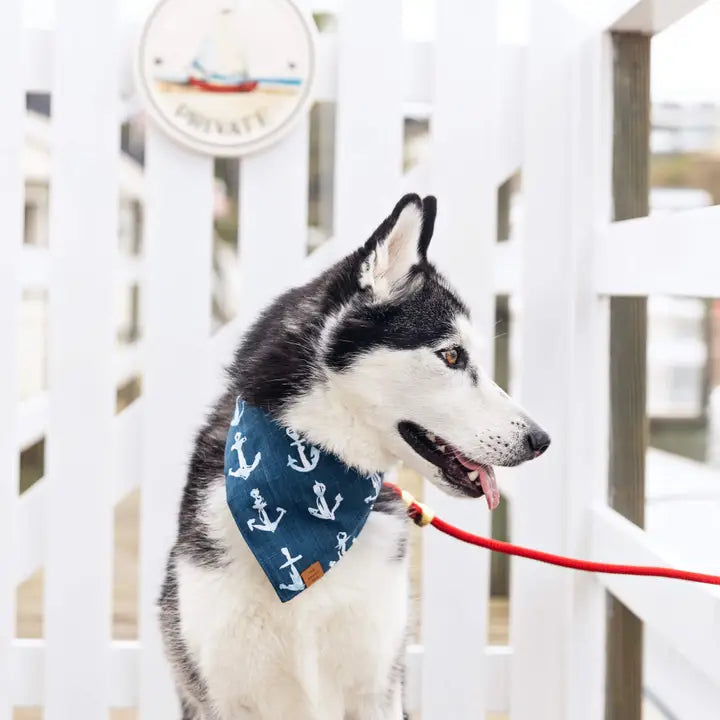 Down By The Sea Bandana