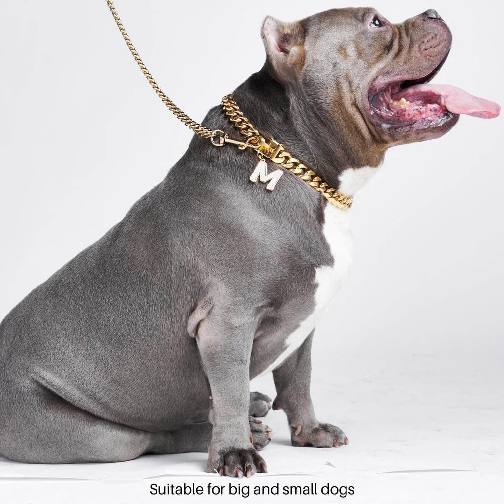 Cuban Link Collar - Madison's Niche 