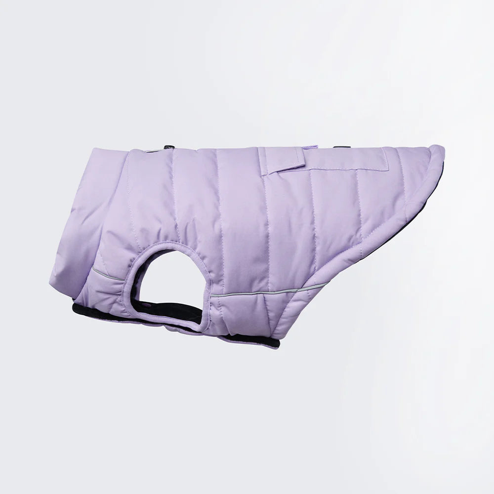 Lilac Warm Shield Jacket - Madison's Niche 