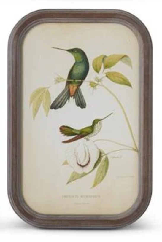 Founded Framed Bird Print