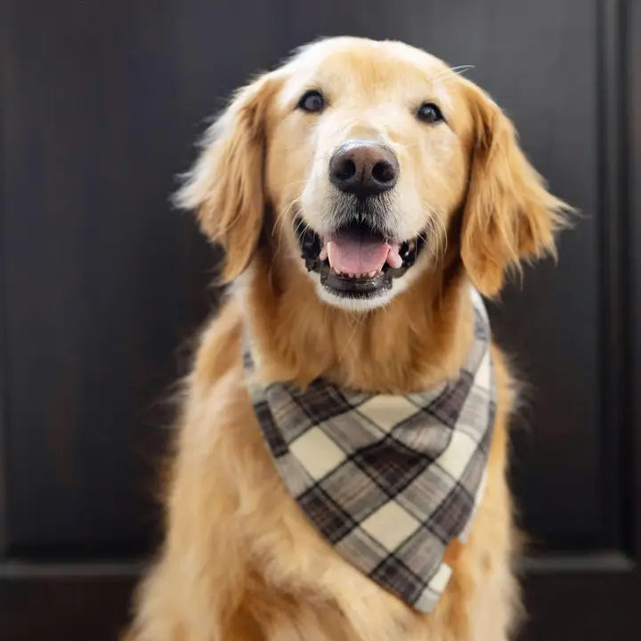 Chestnut Plaid Bandana