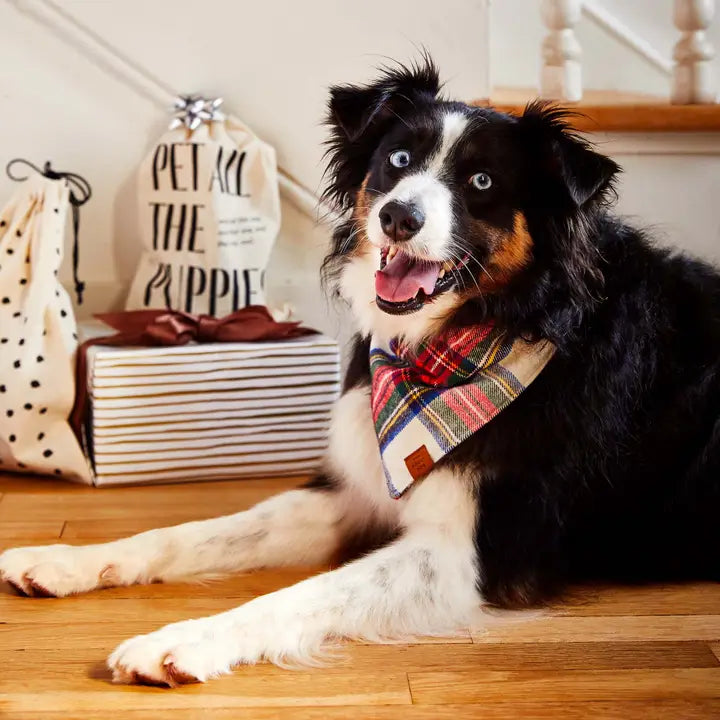 Regent Plaid Bandana