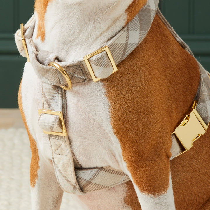 Andover Plaid Harness