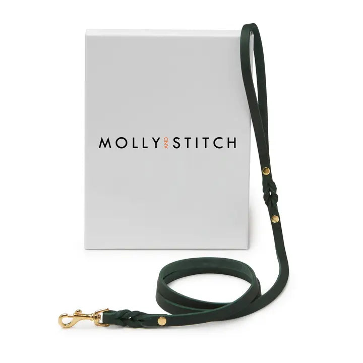 Forest Green Leash - Madison's Niche 