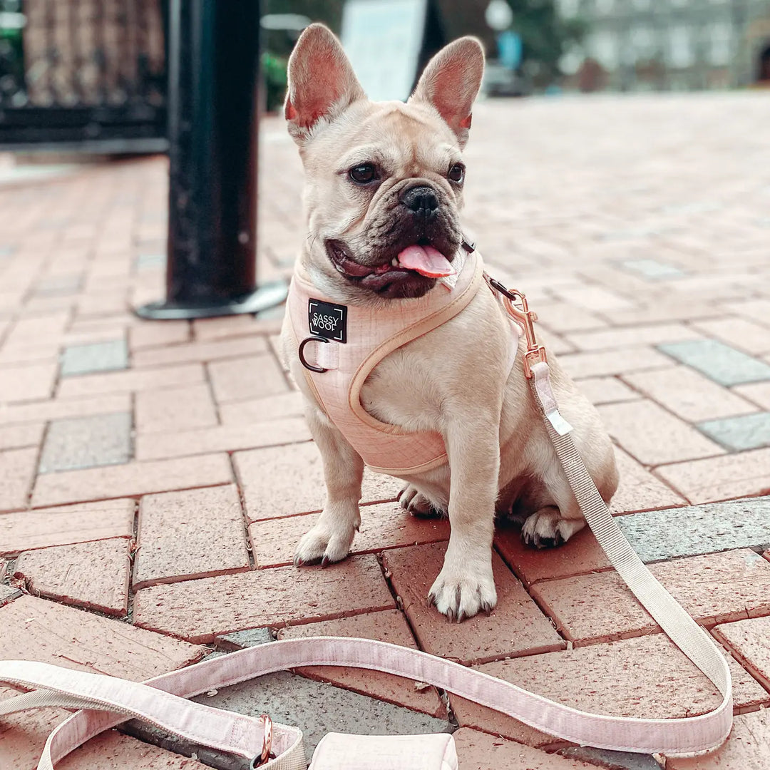 Pinot Fabric Leash