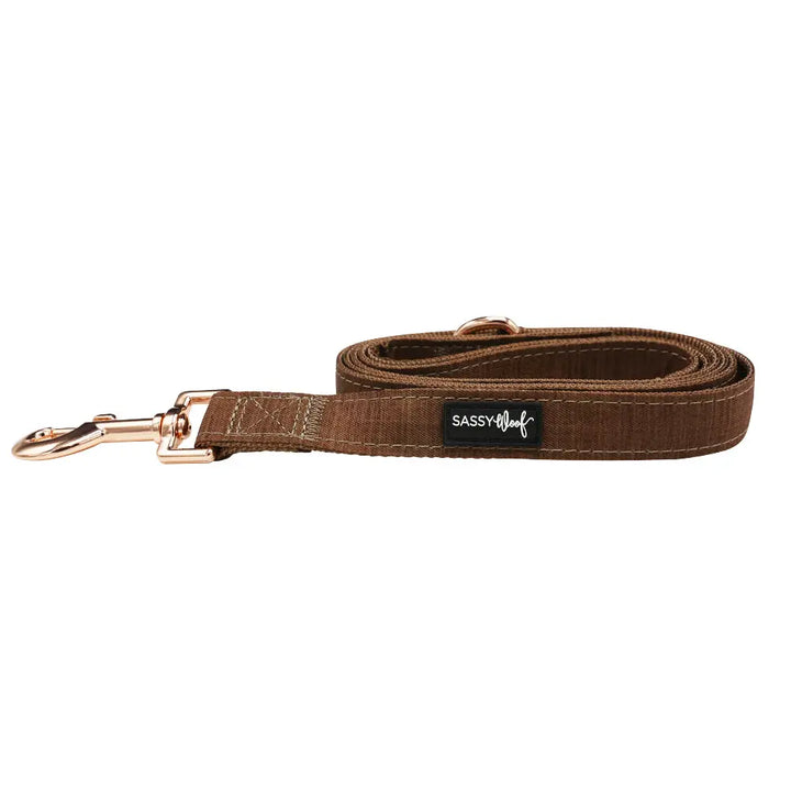 Teddy Fabric Leash