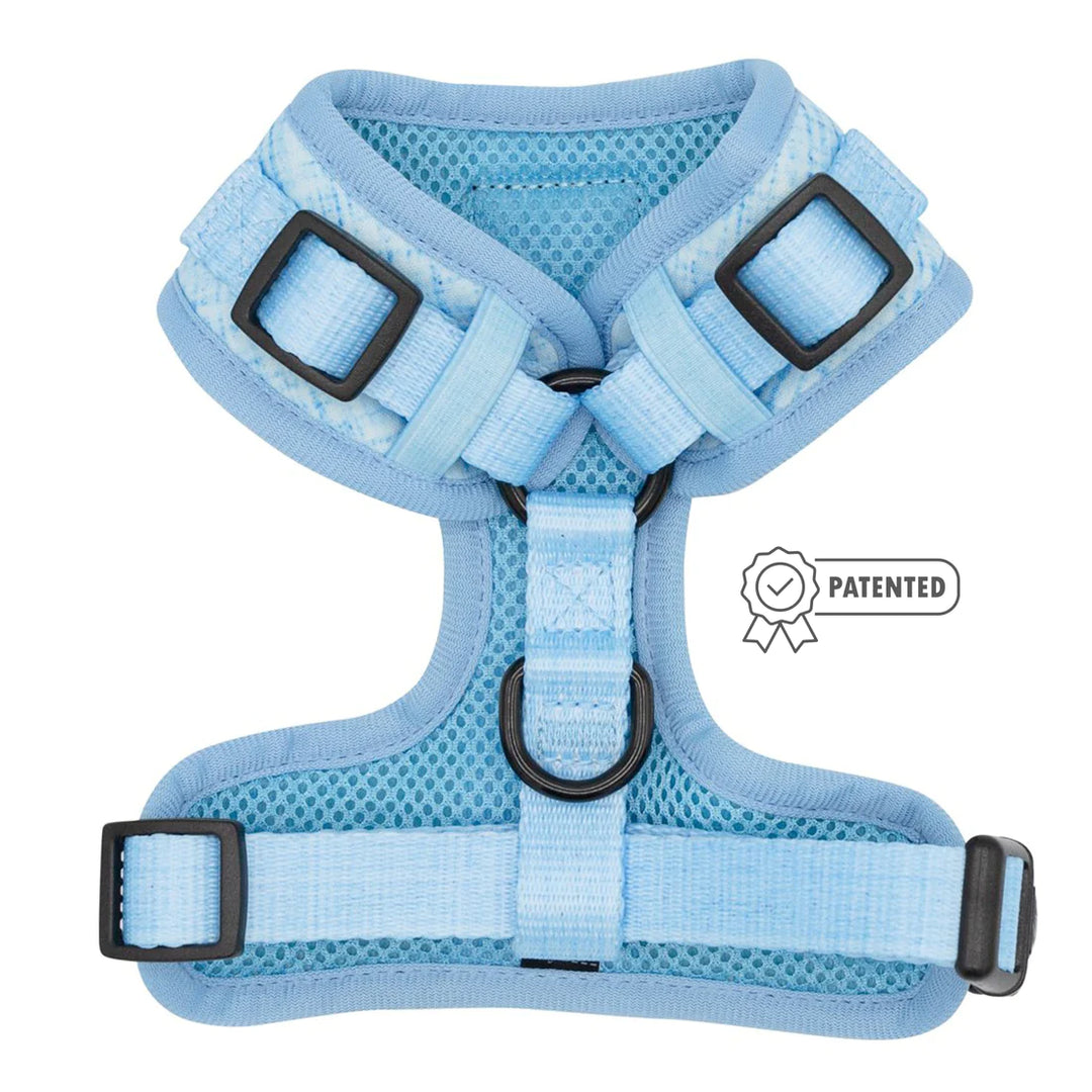 Blue Adjustable Harness - Madison's Niche 