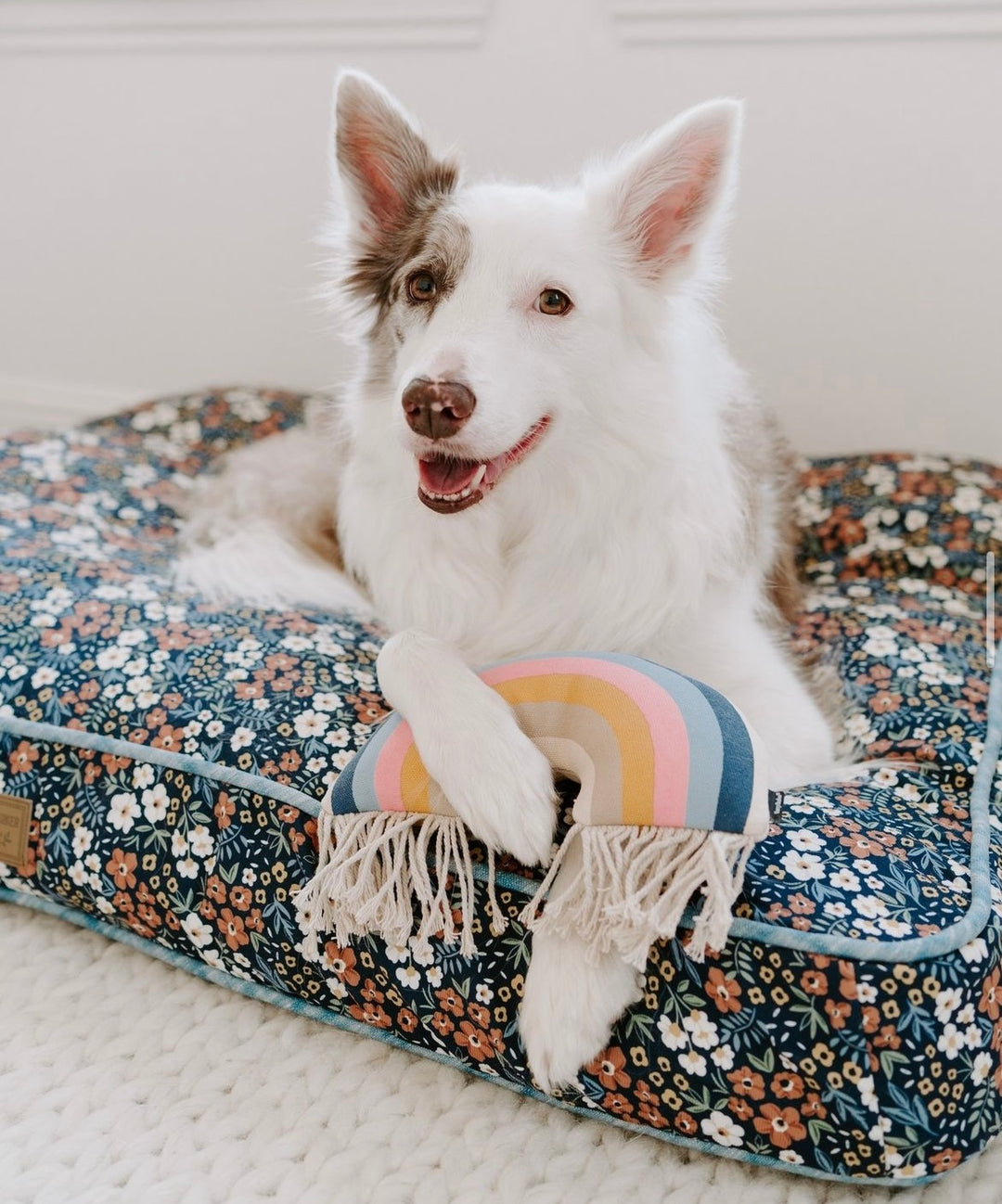 Rainbow Plush Toy