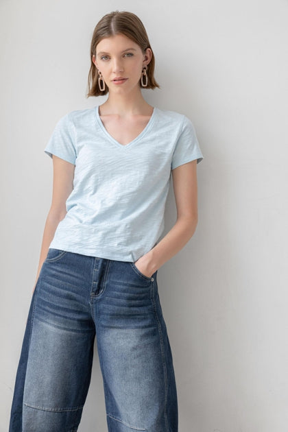 Short Sleeve Back Seam V-Neck In Spa