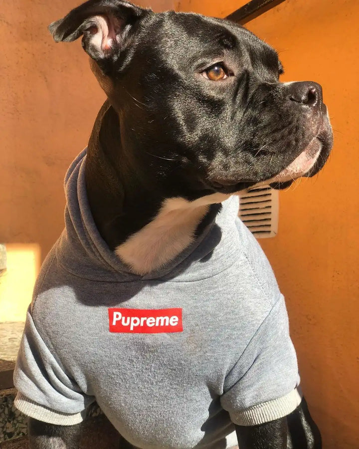 Pupreme Hoodie