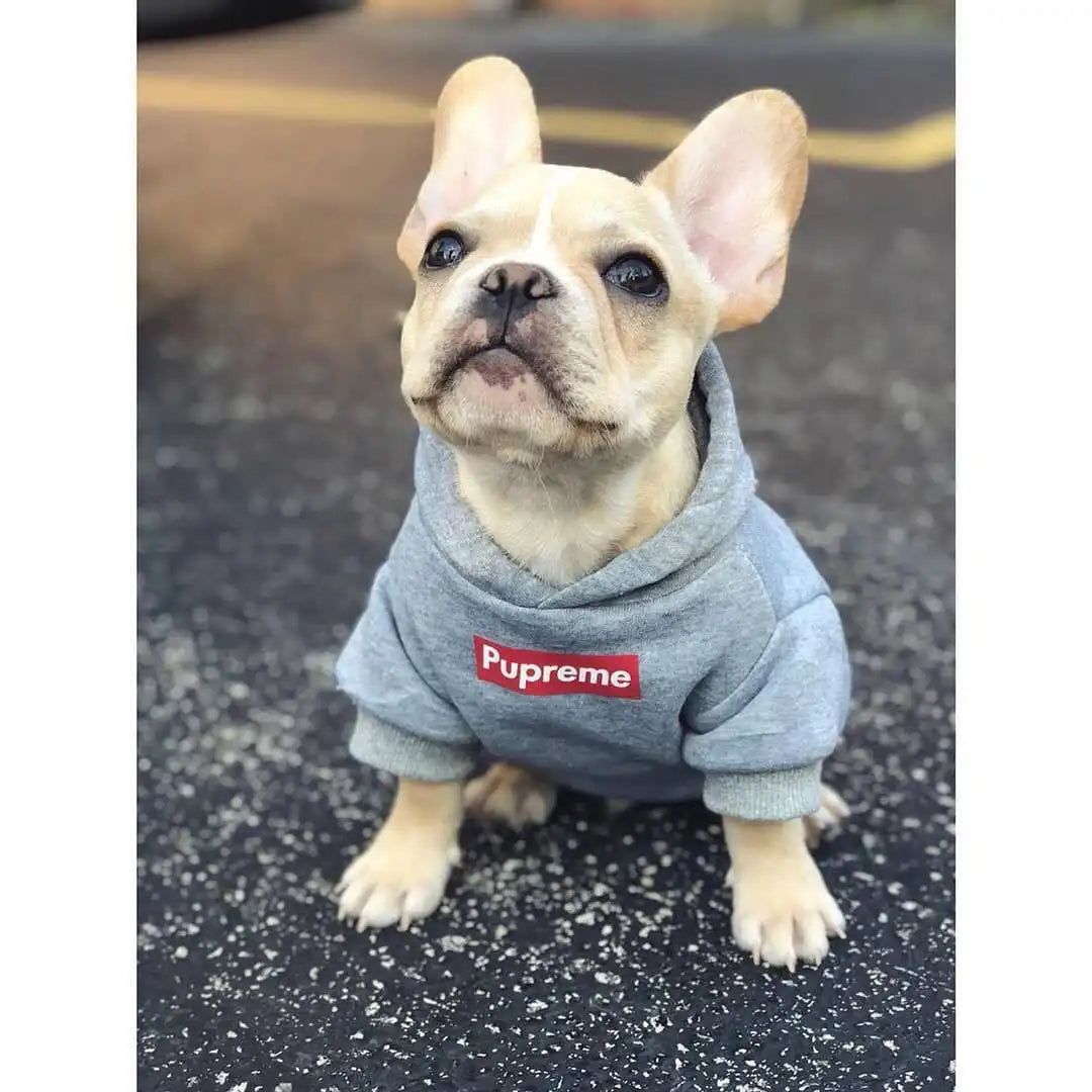 Pupreme Hoodie