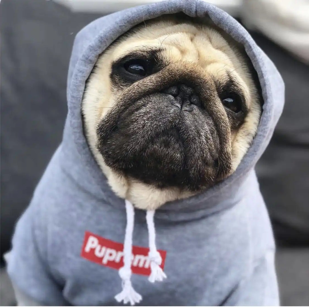 Pupreme Hoodie