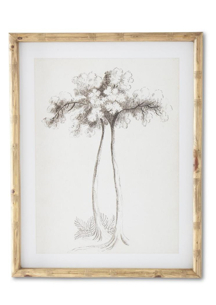 Charcoal Sketched Tree Art