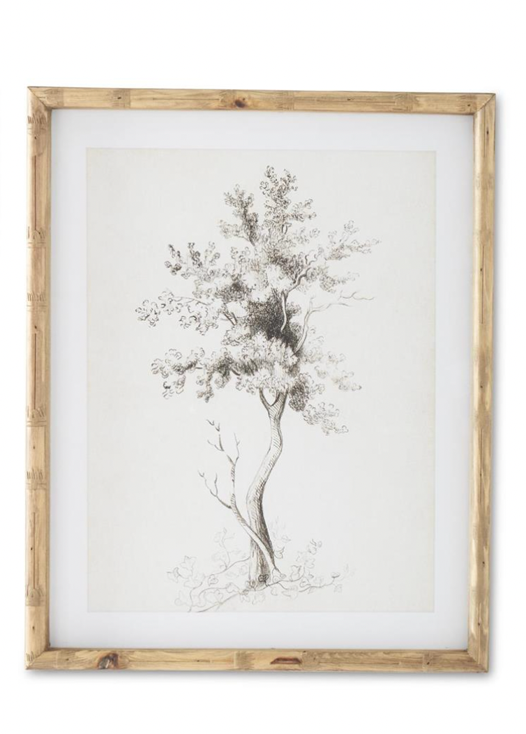 Charcoal Sketched Tree Art