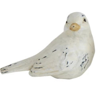 Distressed White Bird