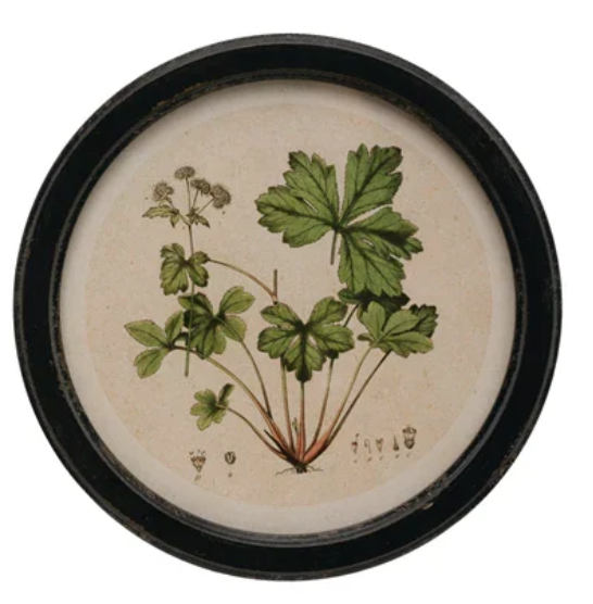 Round Botanical Wall Art - Madison's Niche 