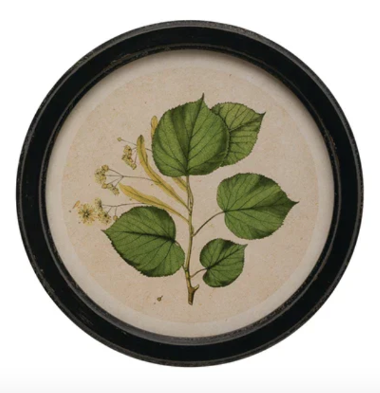 Round Botanical Wall Art - Madison's Niche 