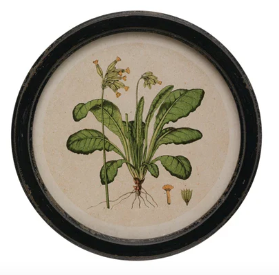 Round Botanical Wall Art - Madison's Niche 