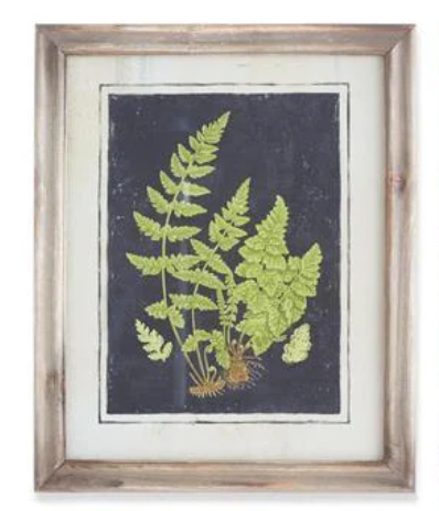 17" Framed Fern Print - Madison's Niche 