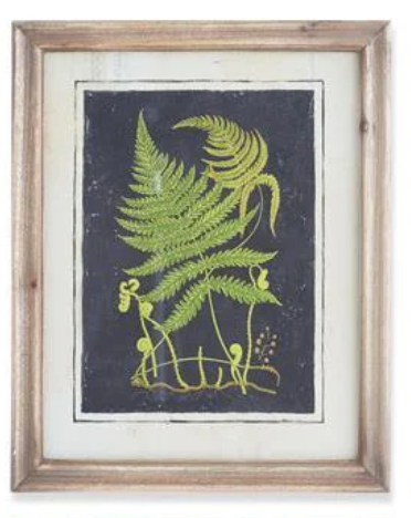 17" Framed Fern Print - Madison's Niche 