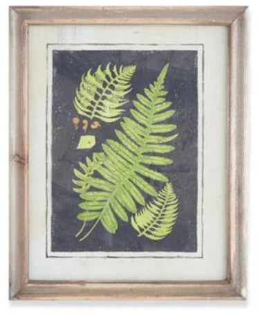 17" Framed Fern Print