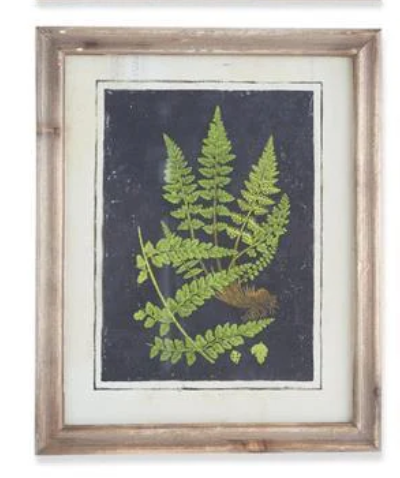 17" Framed Fern Print