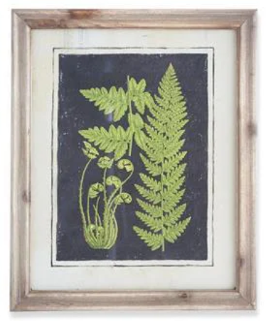 17" Framed Fern Print