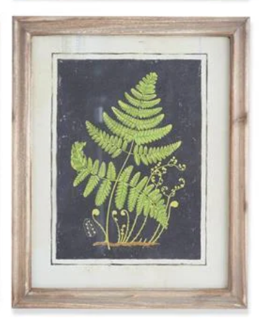 17" Framed Fern Print