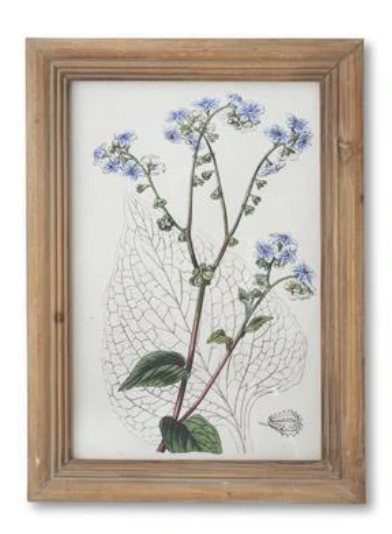 16.5" Framed Flower Print