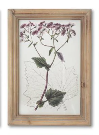 16.5" Framed Flower Print