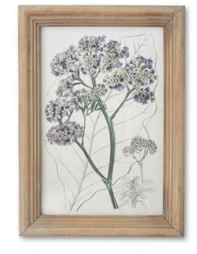 16.5" Framed Flower Print