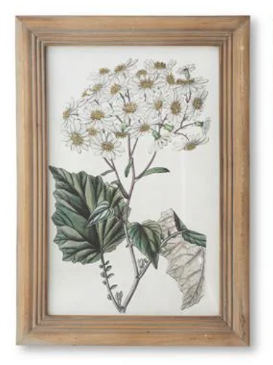 16.5" Framed Flower Print