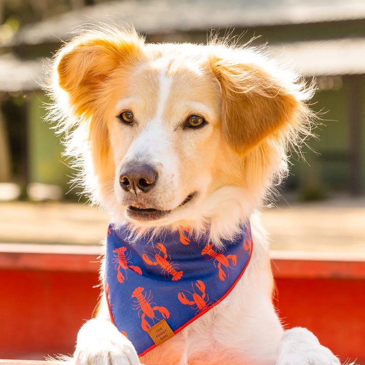 Catch of the Day Bandana