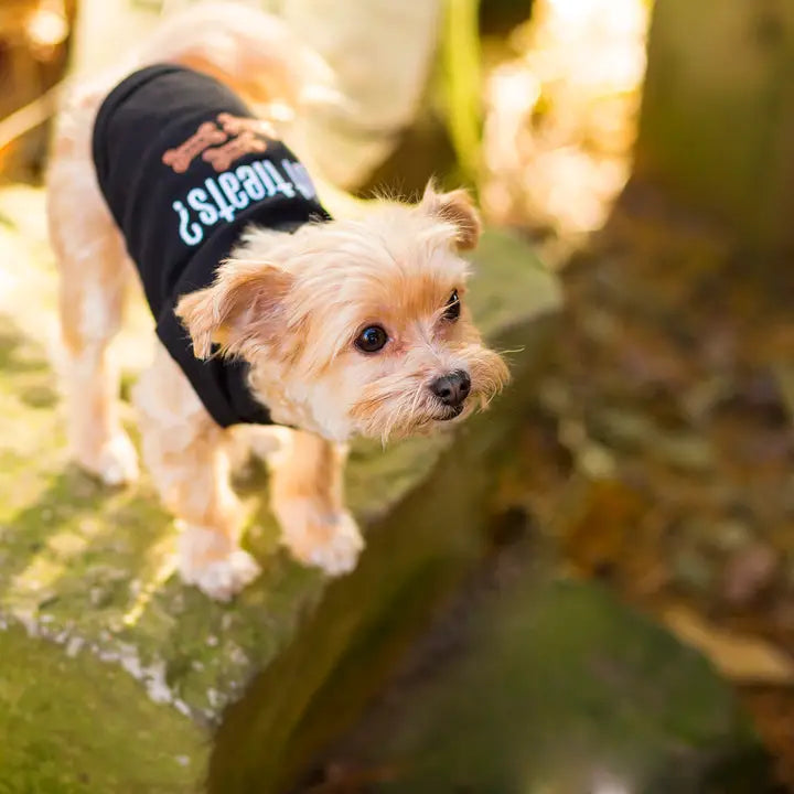 T-Shirt: Got Treats