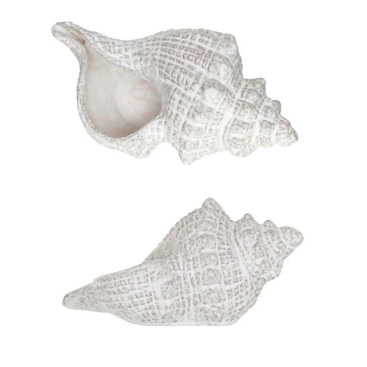 White Glaze Conch Shell - Madison's Niche 