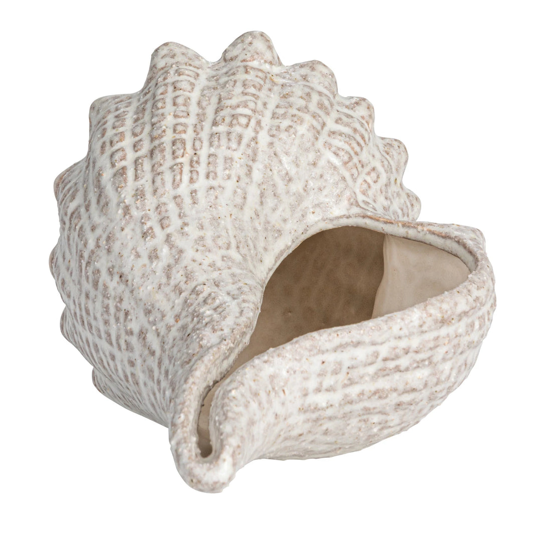 White Glaze Conch Shell - Madison's Niche 