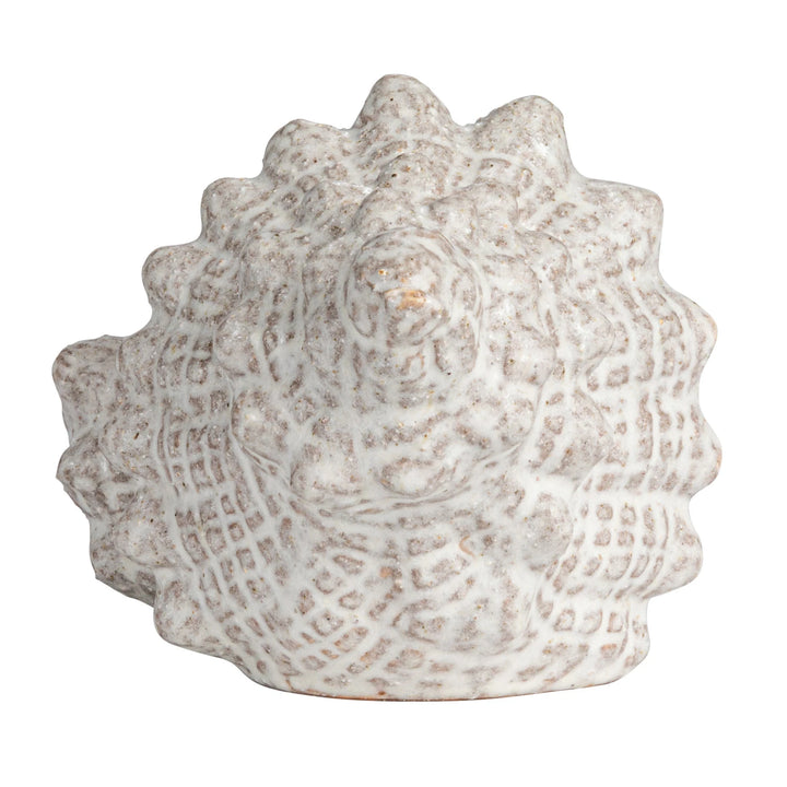 White Glaze Conch Shell - Madison's Niche 