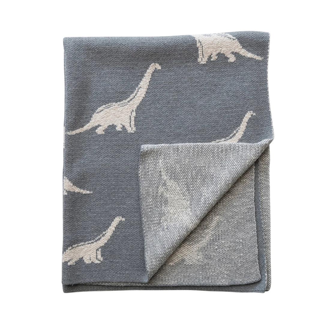 Dinosaurs Baby Blanket