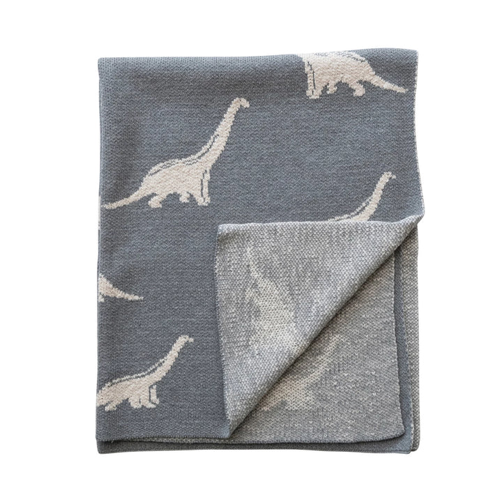 Dinosaurs Baby Blanket