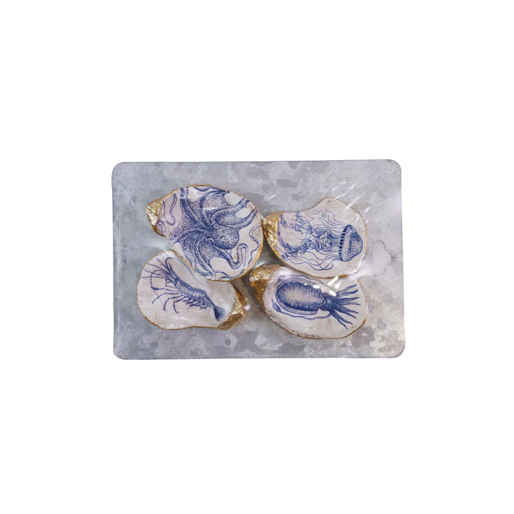 Set Of 4 Oyster Shell Magnets