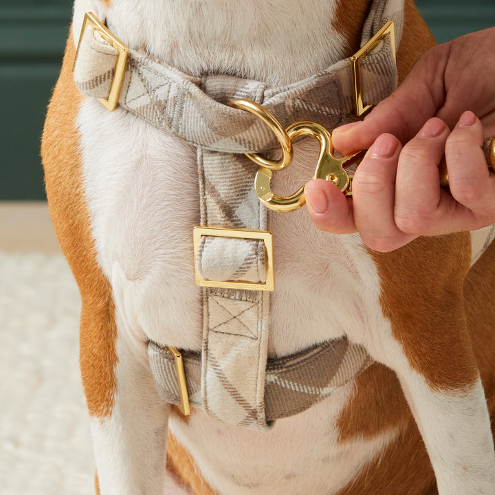 Andover Plaid Harness