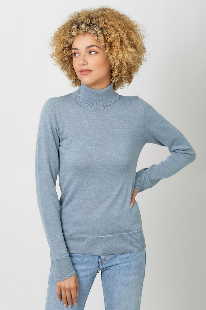 Fitted Turtleneck Sweater in Blue